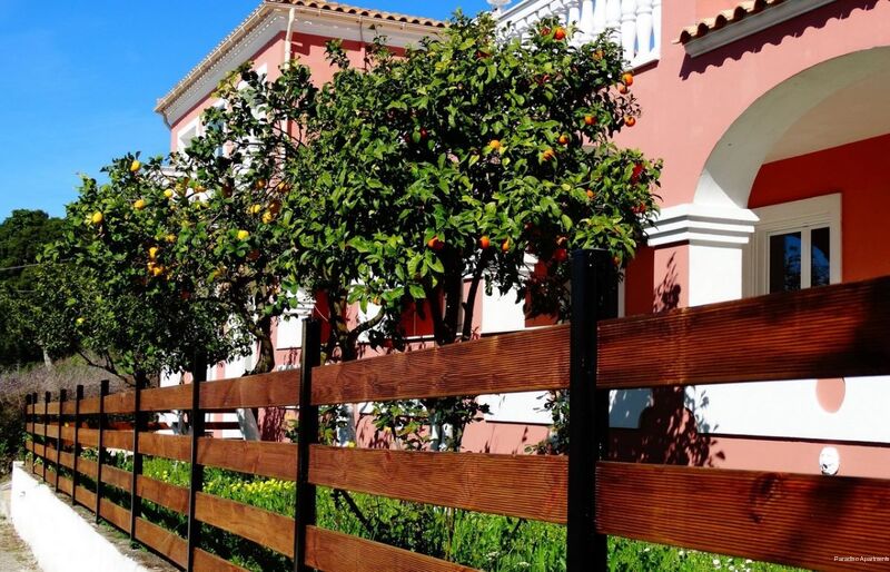 Фото Paradiso Aparthotel