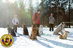 Shkola dressirovki sobak K-9 (Zelenograd, к451), zoo center