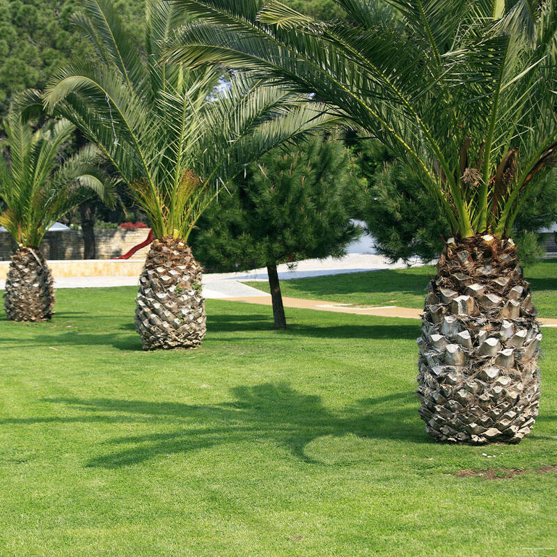 Фото Falkensteiner Club Funimation Borik