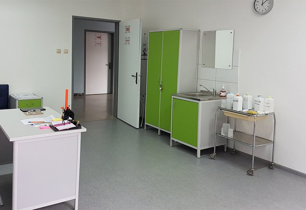 Фото Самшитовая роща