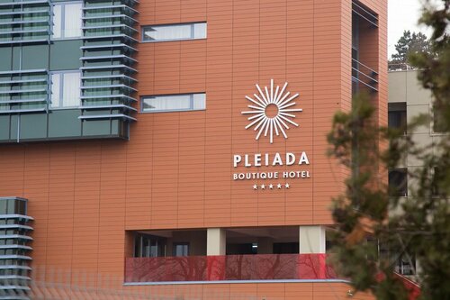 Гостиница Pleiada Boutique Hotel And SPA в Яссах