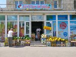 Магазин овощей и фруктов (Volgograd, 7th Gvardeyskoy Street, 19) ، متجر بيع خضر خضروات طازجة