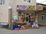 Groceries (Shohrukh Mirzo Street, 67), grocery