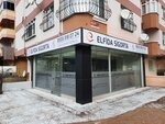 Elfida Insurance Brokerage Services (İstanbul, Pendik, İbni Sina Cad., 25), insurance broker