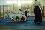 Southern Interregional Aikido Federation (ulitsa Palmiro Tolyatti, 32-2), sports club