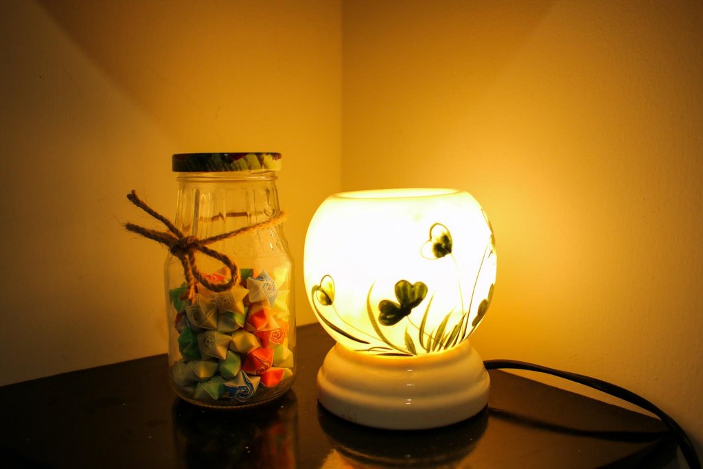 Фото Travellers Nest Hostel