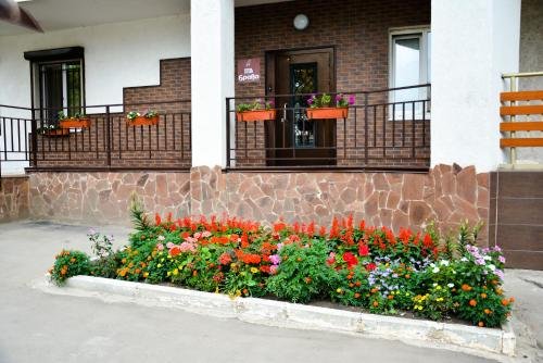 Фото Браво Люкс