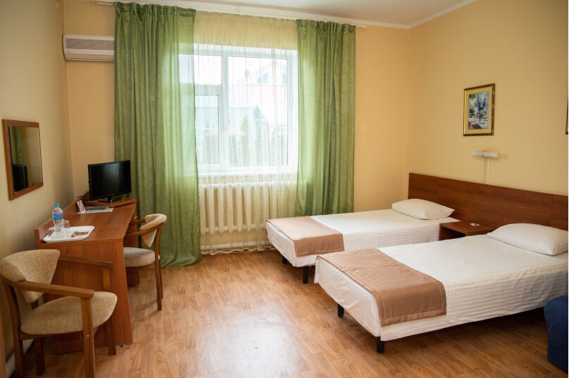 Фото Дельфин