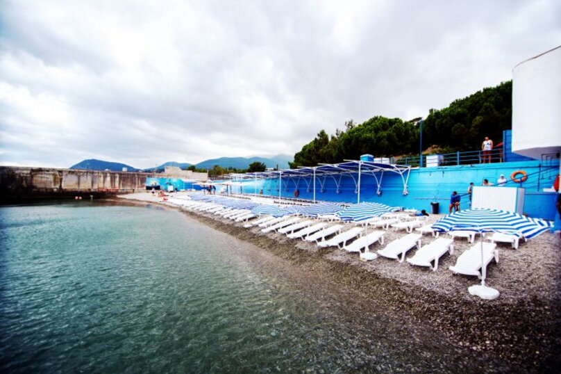 Фото Крымский гость