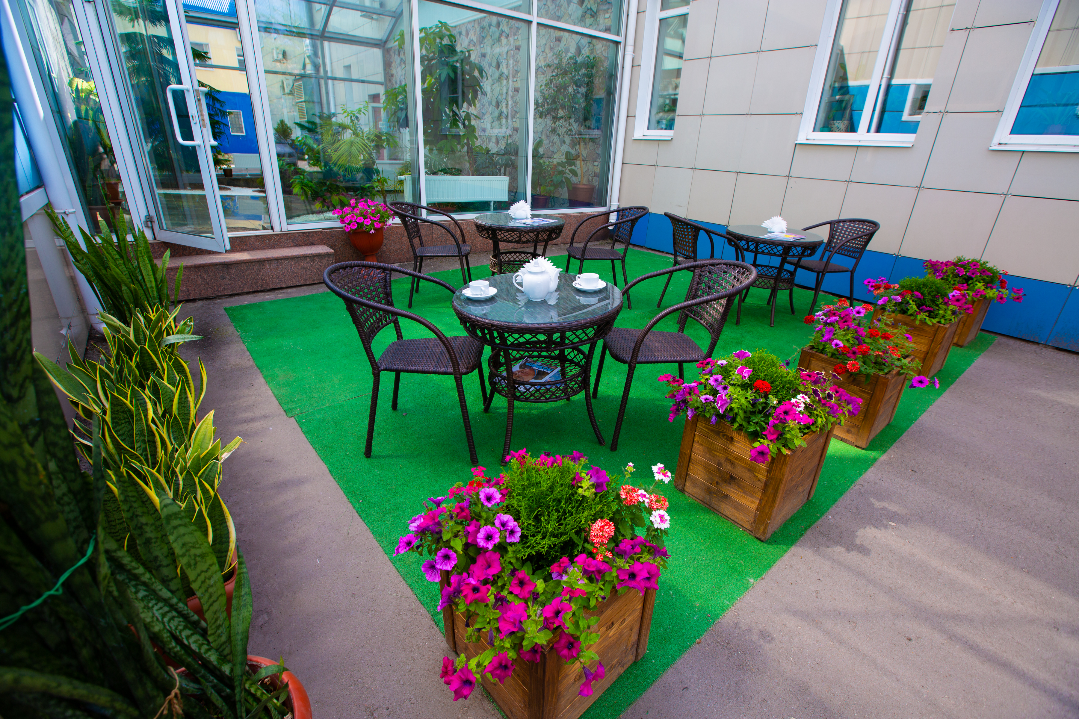 Фото Велнесс