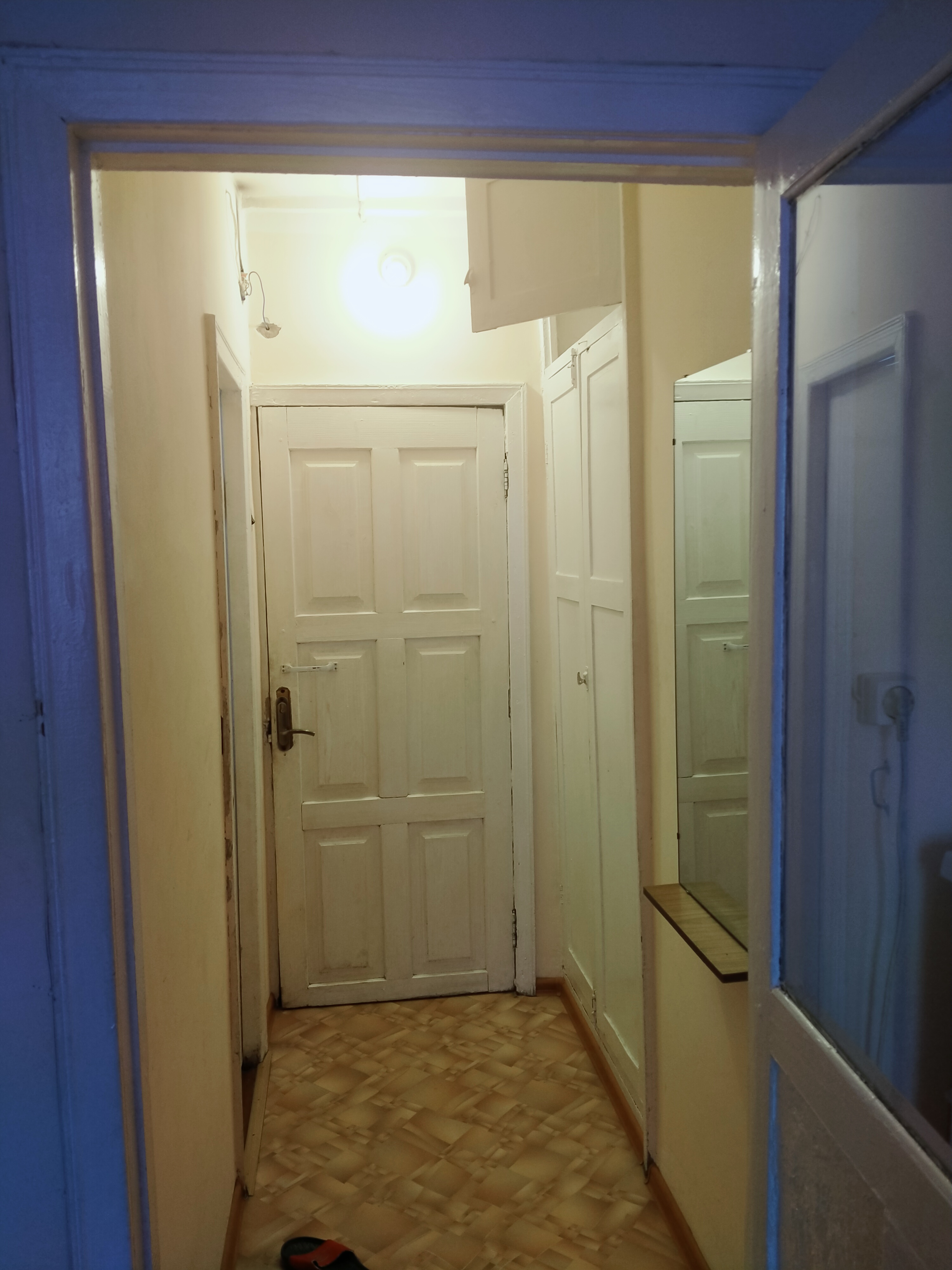 Фото Лазоревая