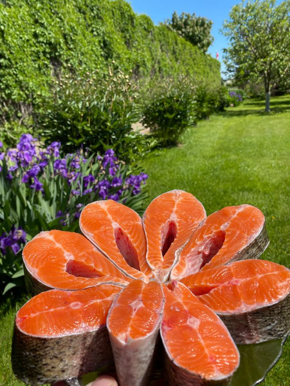 Фото Ultralight-world