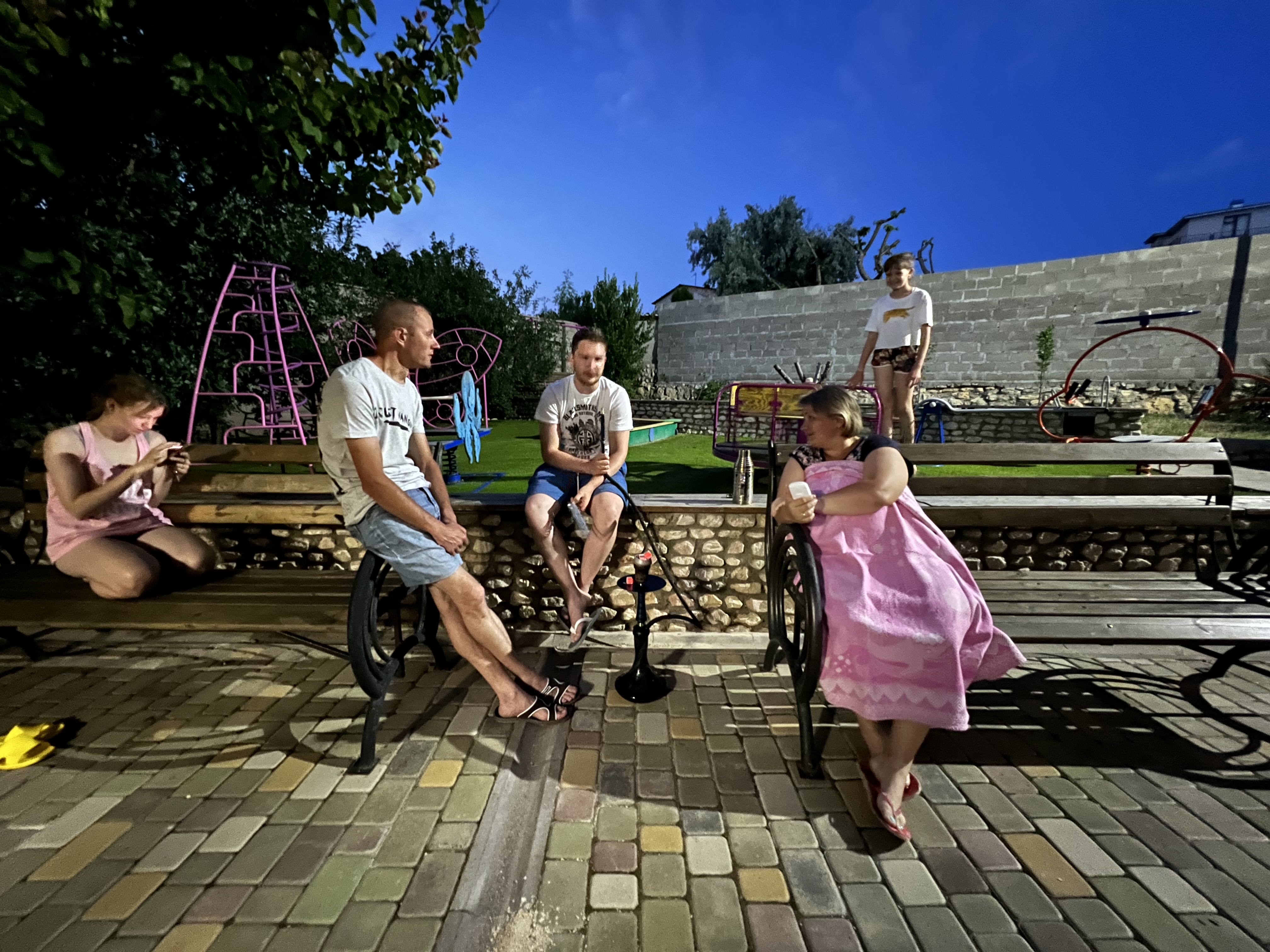 Фото Дельфин