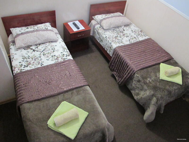 Фото Морская звезда