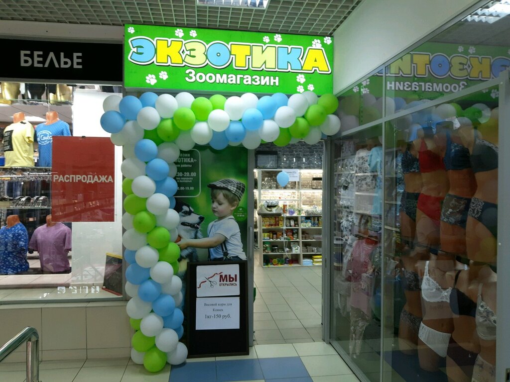 Магазин Экзотика В Курске Официальный Сайт