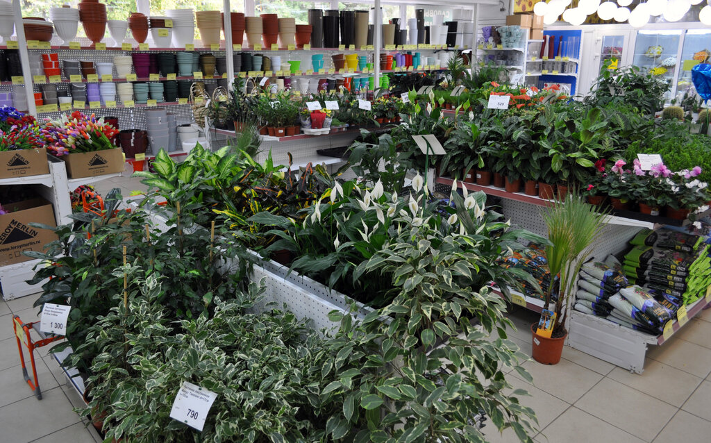 Garden center Khomyak, Tula, photo