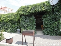 Фото Фортуна