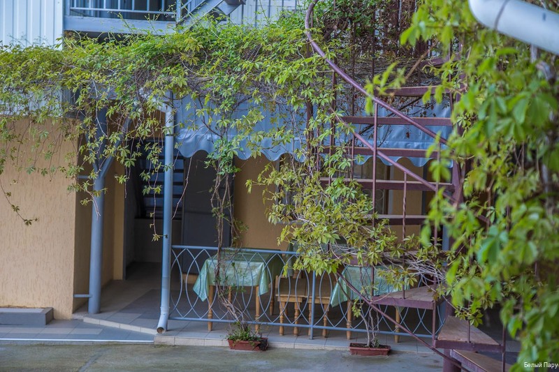 Фото Белый Парус