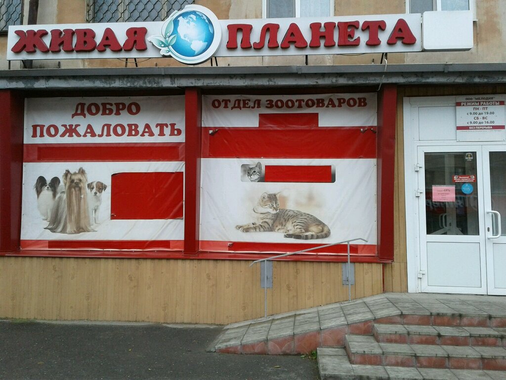 Зоомагазин Интернет Магазин Нижний Тагил