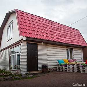 Фото Сова Сойкино