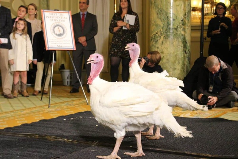 Фото Willard InterContinental Washington