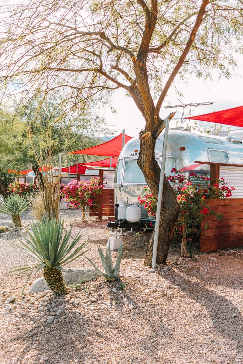 Фото Borrego Valley Inn