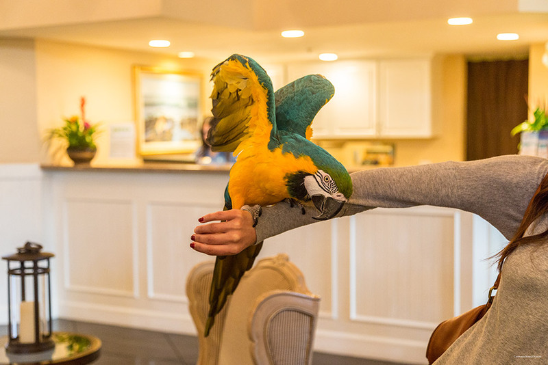 Фото Coronado Beach Resort