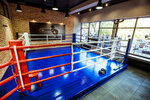 Sk Boxing (Clement Timiryazev Street, 111А), sports club