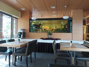 De Lita Hotel (Druskininkai, Vytauto gatvė, 40), hotel