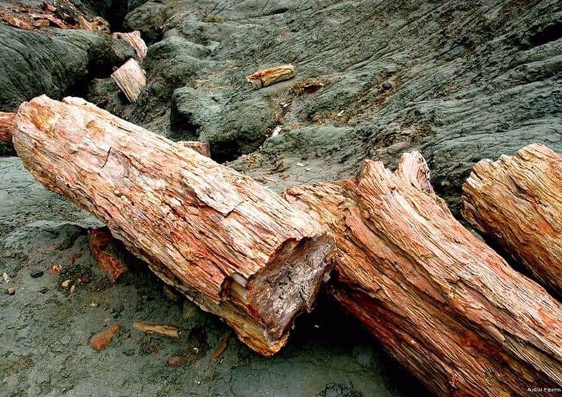 Фото Austral Hotel