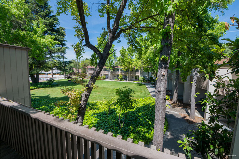 Фото Los Gatos Lodge