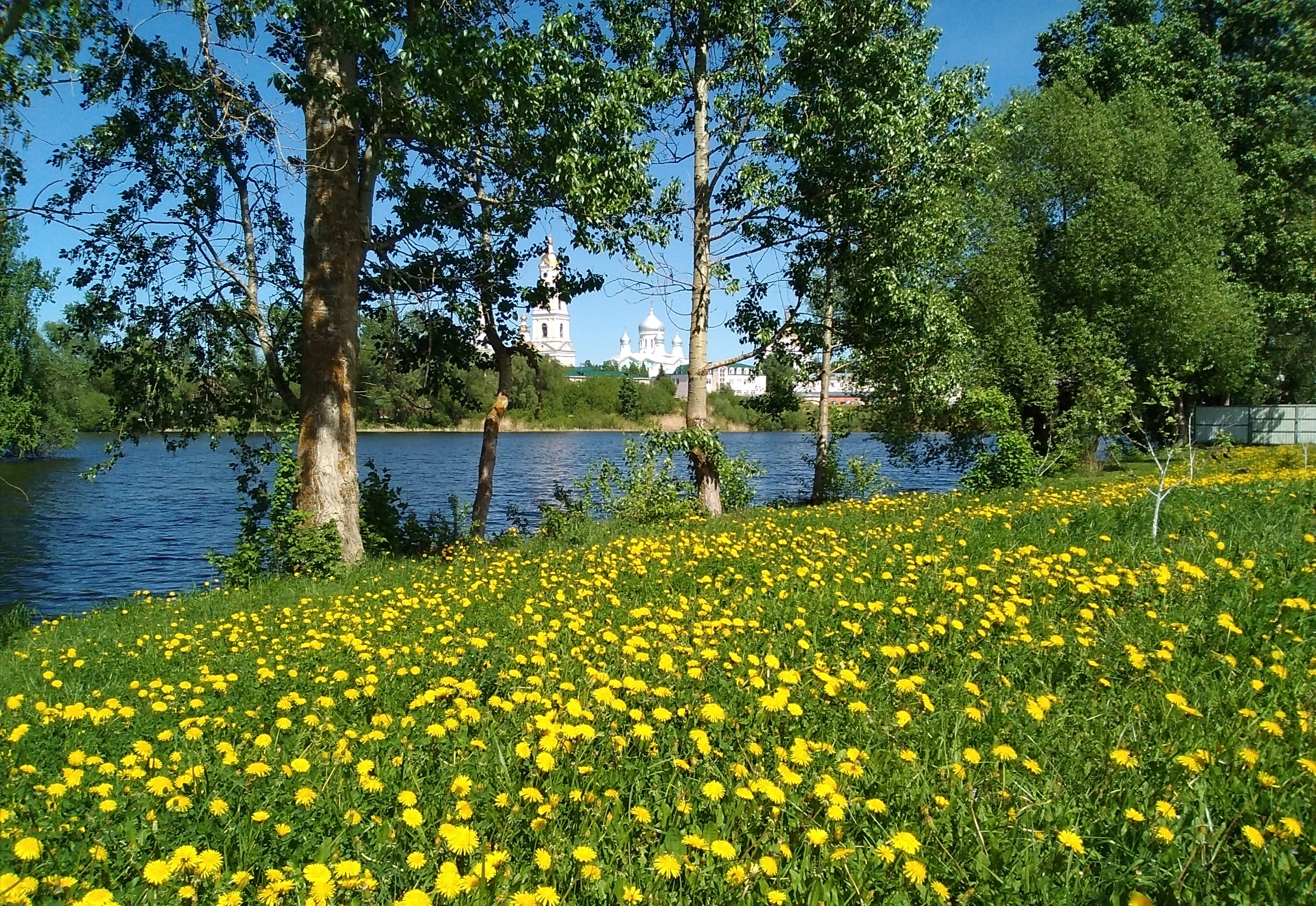 Фото Дивный дворик