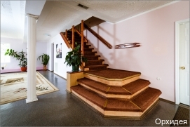 Фото Орхидея