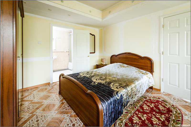 Фото Орхидея