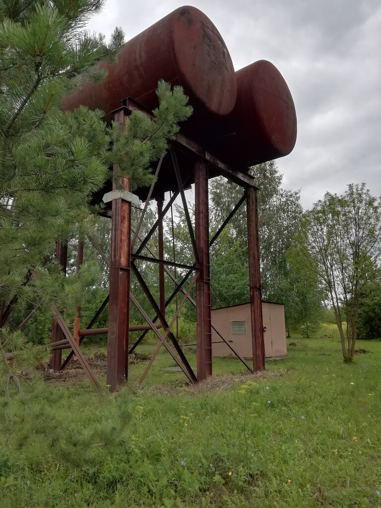 Licensing Ecolight, Voronezh, photo