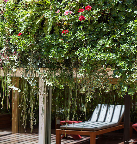 Фото Hotel Emiliano