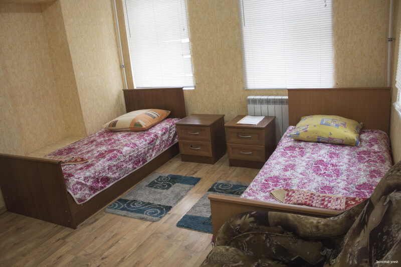 Фото Золотой улей