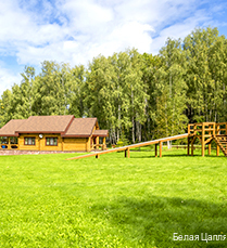 Фото Белая цапля