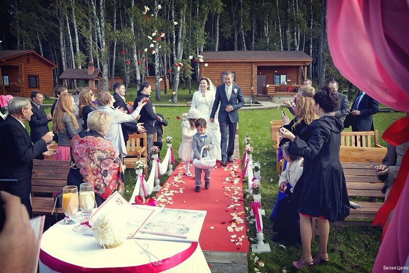 Фото Белая цапля