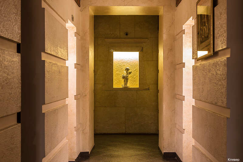 Фото Клевер