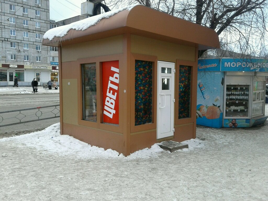 Цветы Тагил Магазин