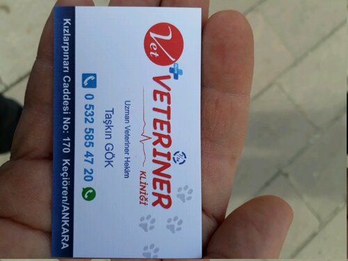 Vet plus clinic 2025