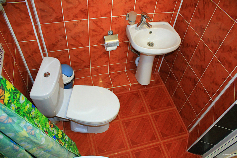 Фото Малина