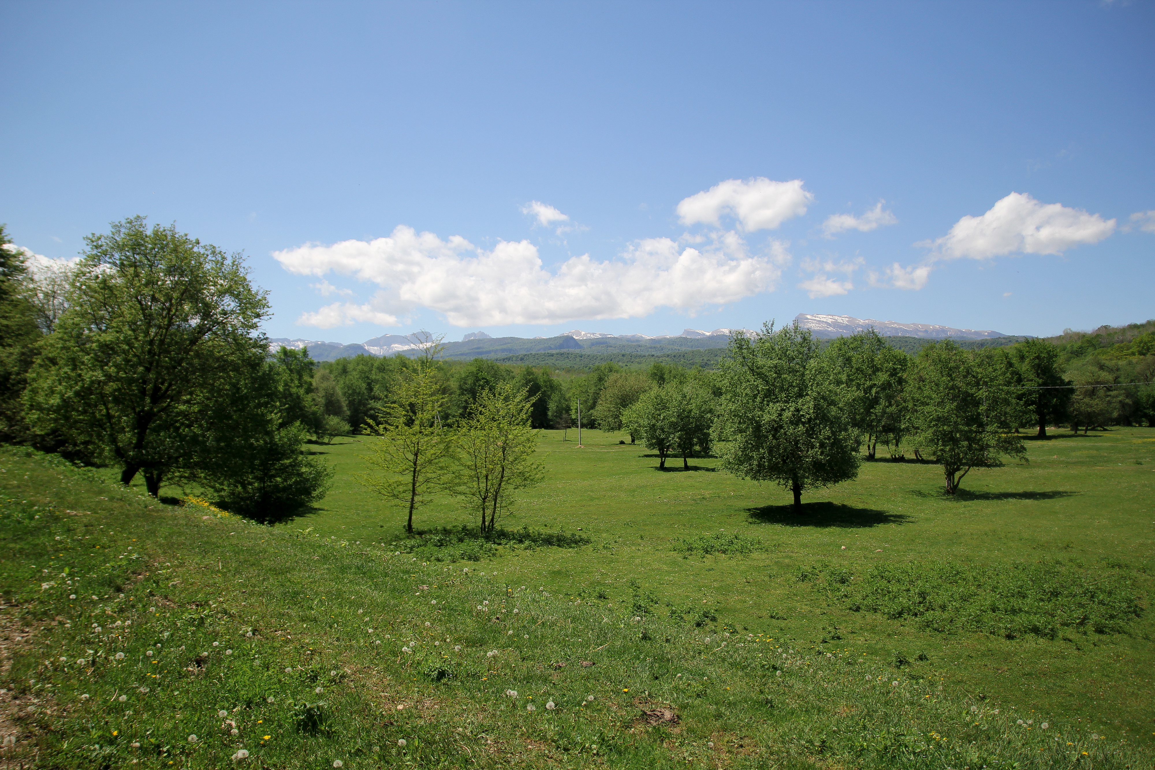 Фото Усадьба Заповедная
