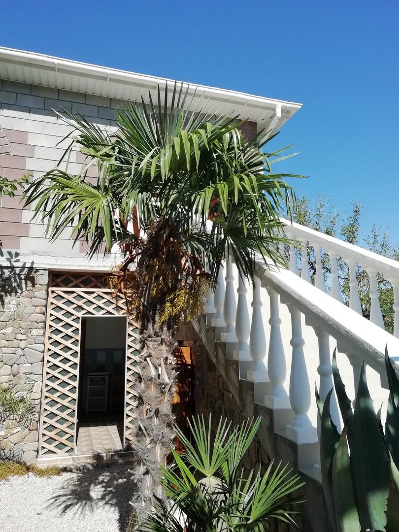 Фото Оазис у Сулеймана