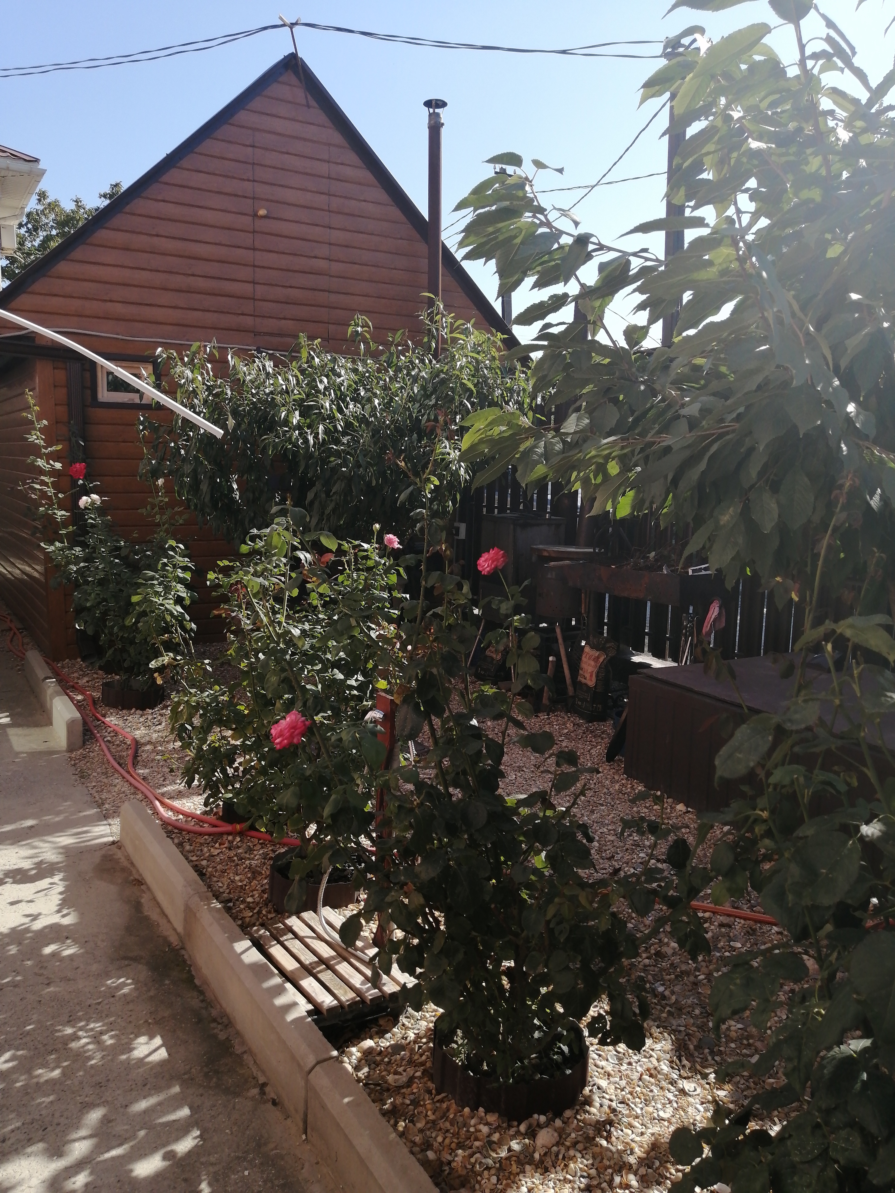 Фото У Саныча