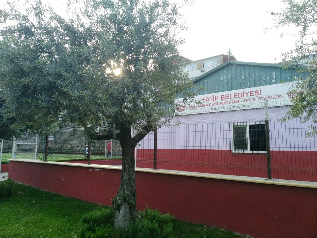 ملعب Carsamba Cukurbostan Sports Facilities ، اسطنبول، صورة
