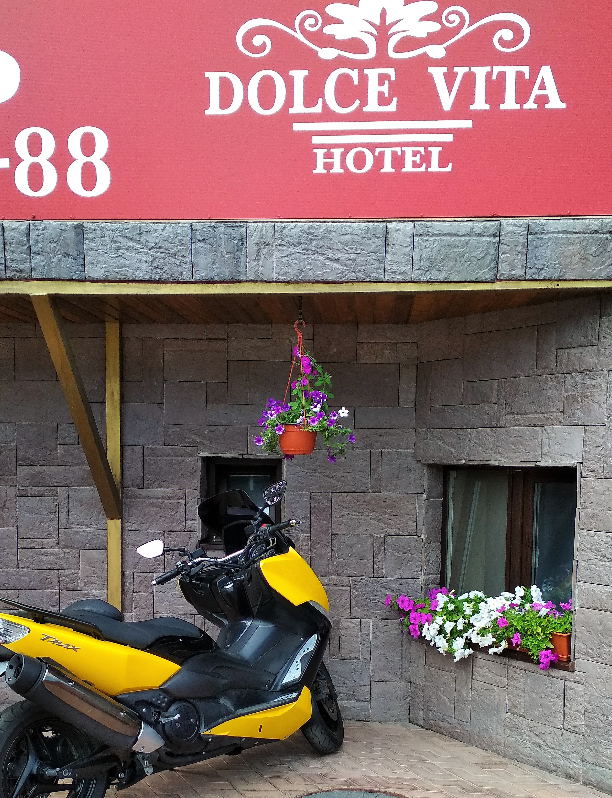 Фото Дольче Вита