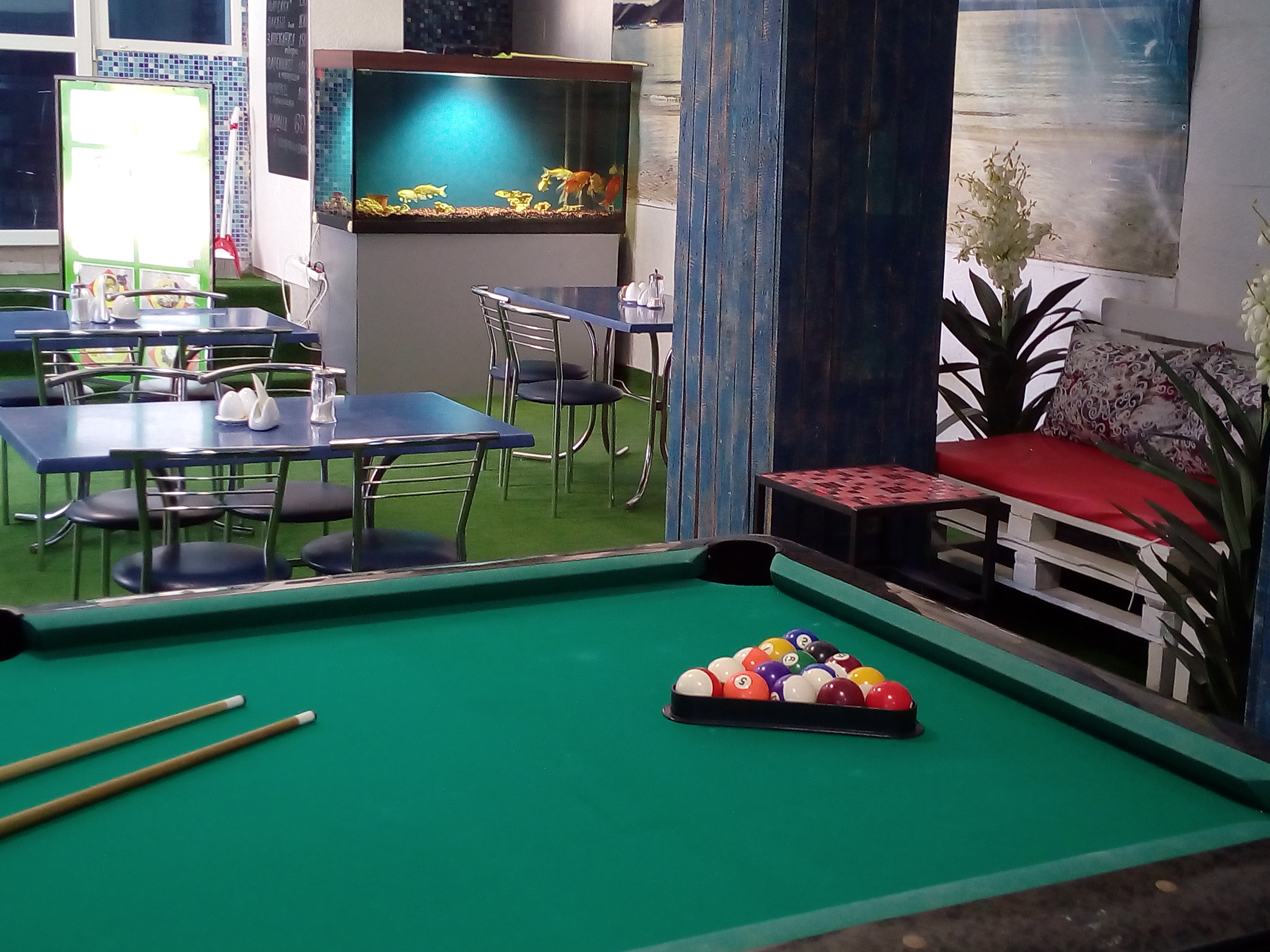 Фото Золотая рыбка