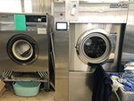 Dry-cleaner Molly (Vyborgskaya Street, 20к2) ، التنظيف الجاف